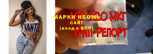 твердый Алексин