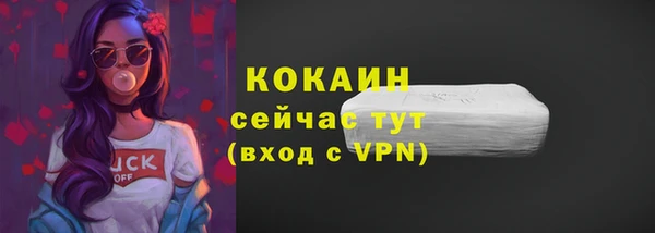 твердый Алексин