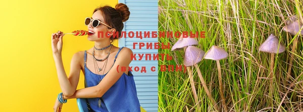 МДМА Алексеевка