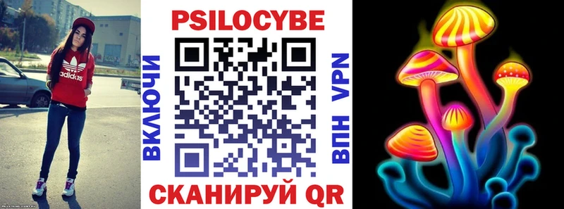 купить закладку  МЕГА сайт  Псилоцибиновые грибы мухоморы  Качканар 